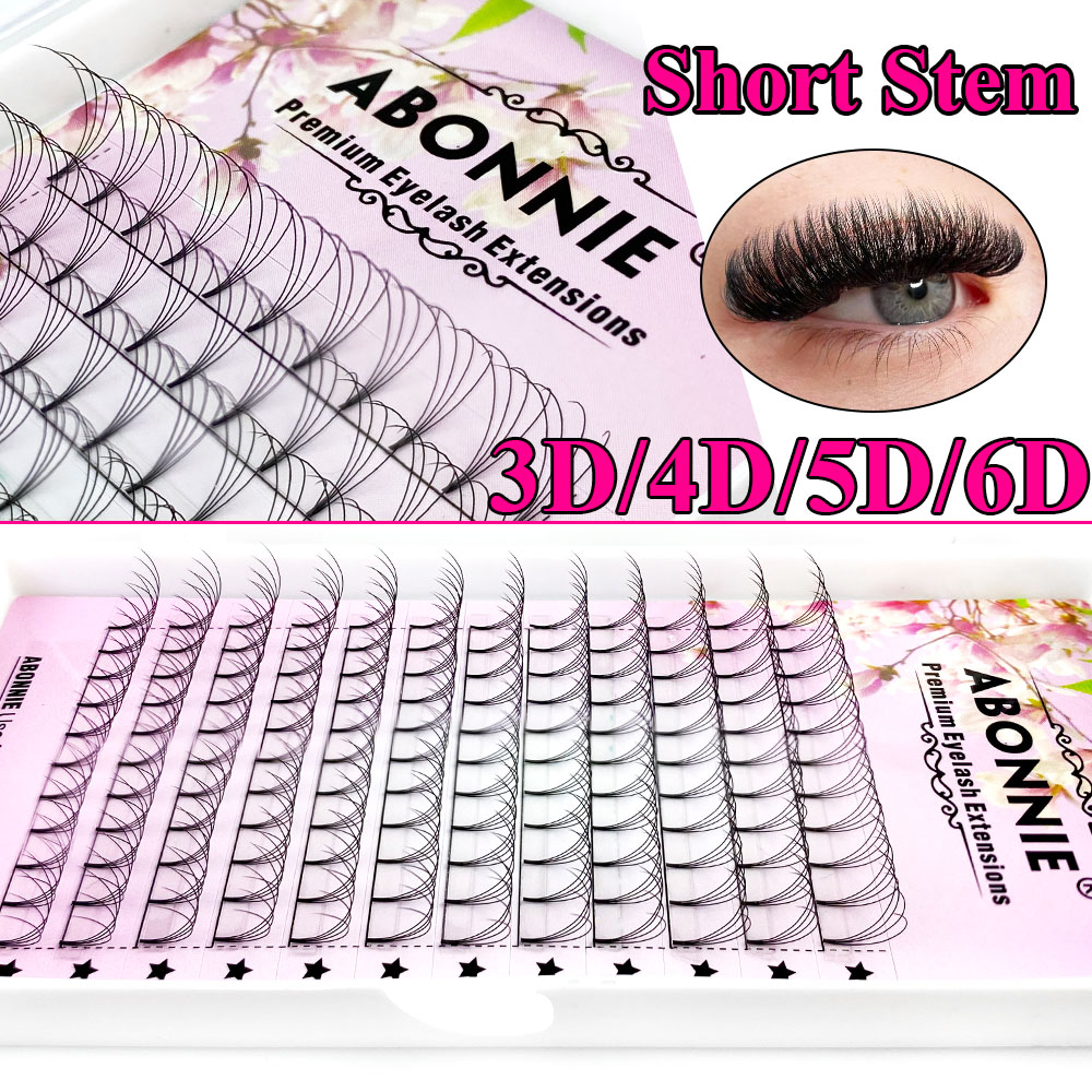 Abonnie 6D Abanicos Preformado - Eyelash Extension Russian Volume reseña y precio